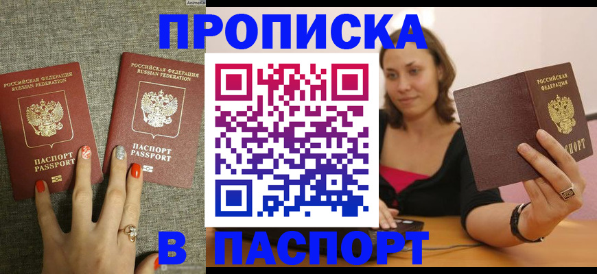 прописка паспорт в Сольцах
